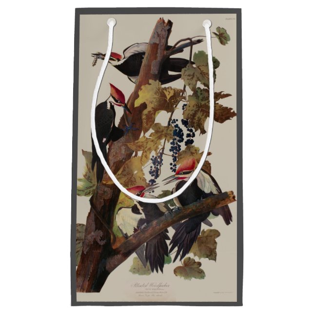 Petit Sac Cadeau Audubon Peinture d'Oiseaux Pic Pilé (Devant)