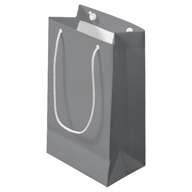 Petit Sac Cadeau Autorité simple (Devant Angle)