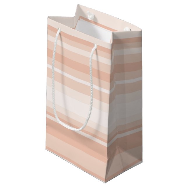 Petit Sac Cadeau Bandes de broches (Devant Angle)