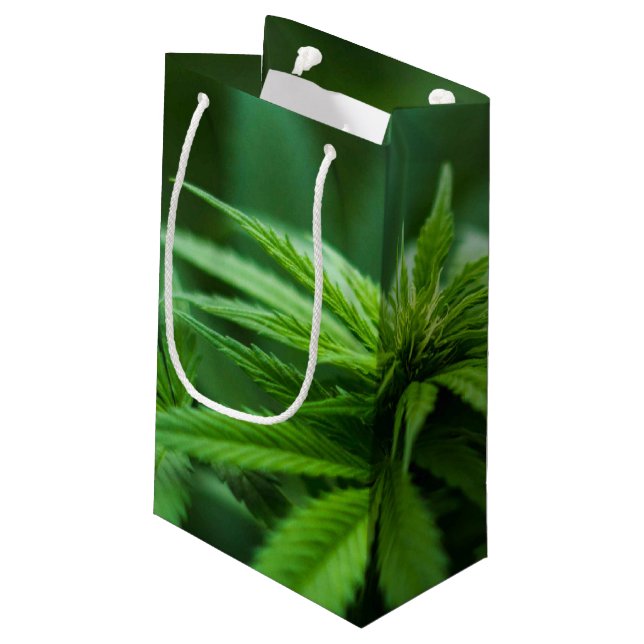 Petit Sac Cadeau Beau Plante (Dos Angle)
