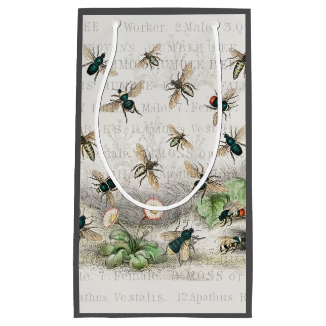 Petit Sac Cadeau Bee Honey Travailleur Queen Bees Antique (Devant)