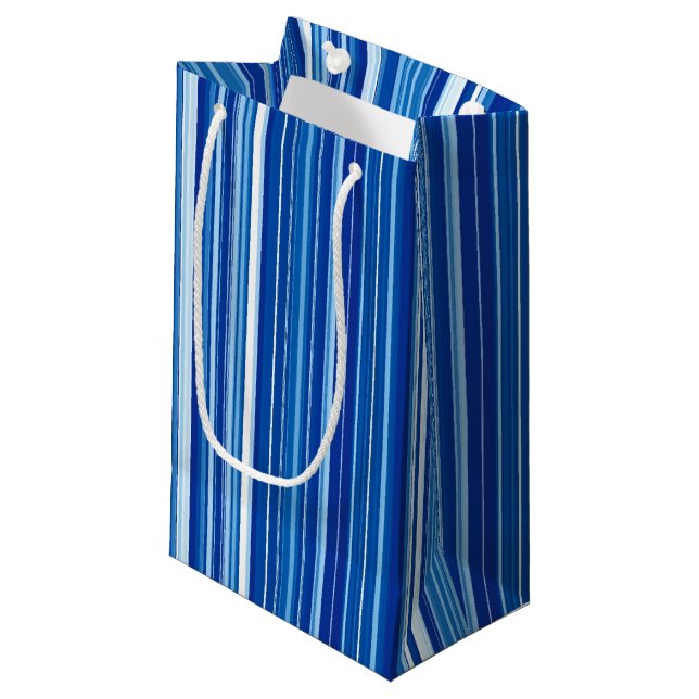 Petit Sac Cadeau Bleu (Devant Angle)