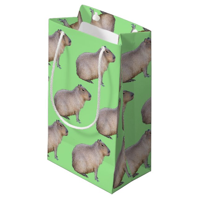 Petit Sac Cadeau Capybara (Devant Angle)