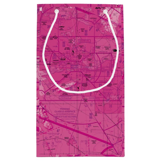 Petit Sac Cadeau Carte d'aviation (Dos)