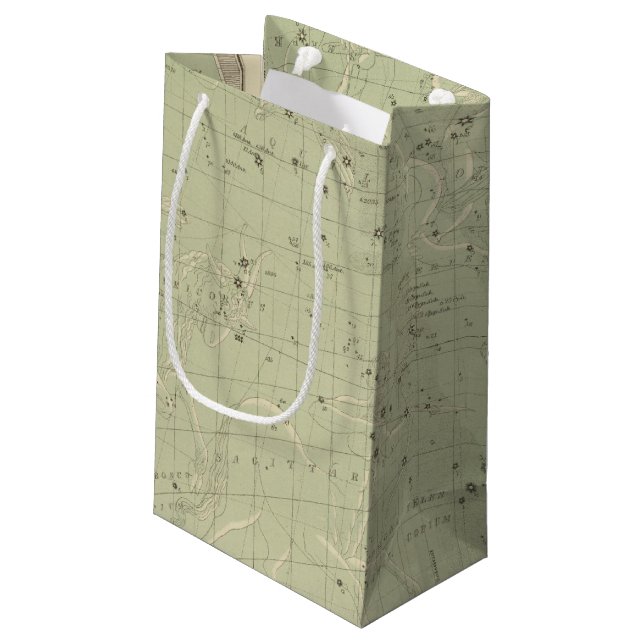 Petit Sac Cadeau Carte d'étoile 2 (Dos Angle)