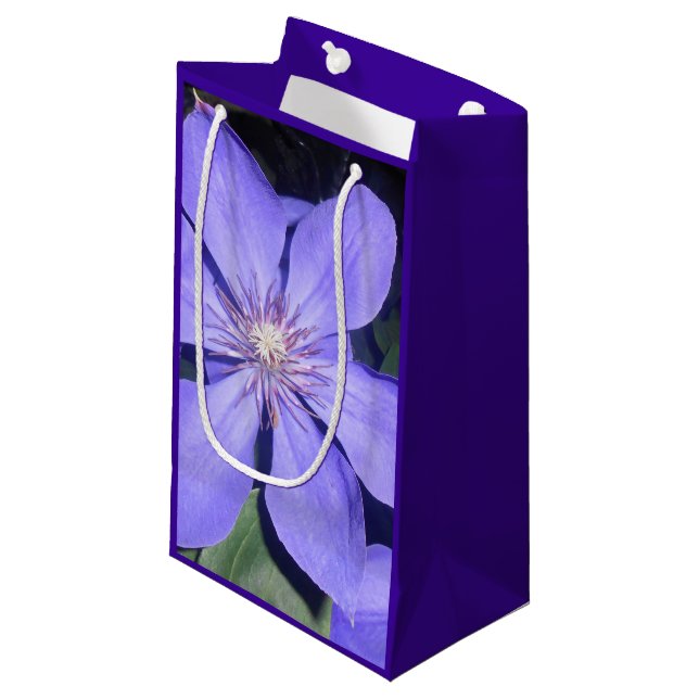 Petit Sac Cadeau Césarine (Devant Angle)