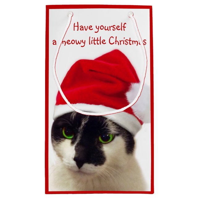 Petit Sac Cadeau Chat avec Casquette Père Noël (Dos)