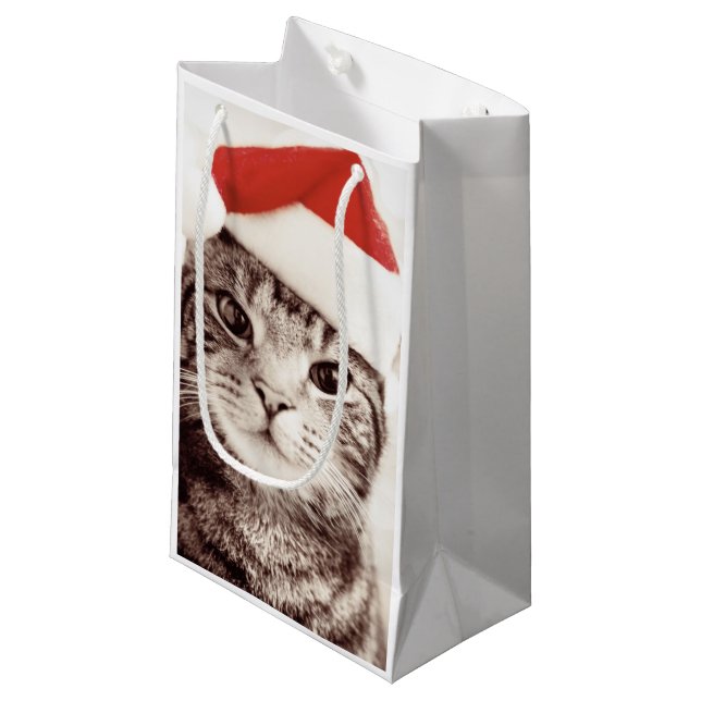 Petit Sac Cadeau Chat tigré domestique utilisant le casquette rouge (Devant Angle)
