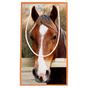 PETIT SAC CADEAU CHEVAUX