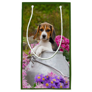 Petit Sac Cadeau Chien Beagle mignon coquelicot dans le lait Eglise