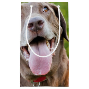 Petit Sac Cadeau Chien de laboratoire de chocolat