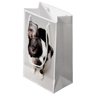 Petit Sac Cadeau Chiot d'Edison Boston Terrier