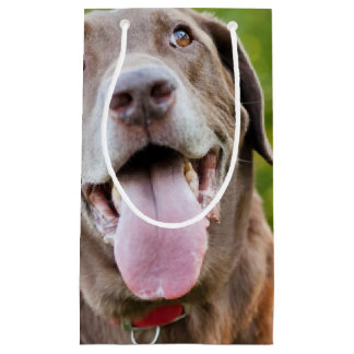 Petit Sac Cadeau Chocolat Lab Chien