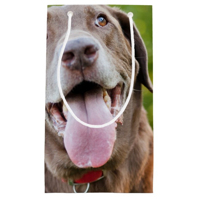 Petit Sac Cadeau Chocolat Lab Chien (Devant)