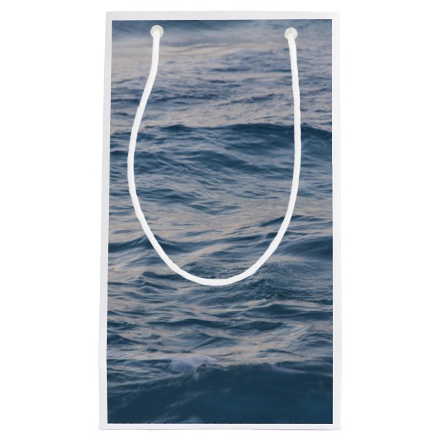 Petit Sac Cadeau Closeuse d'eau de mer (Devant)