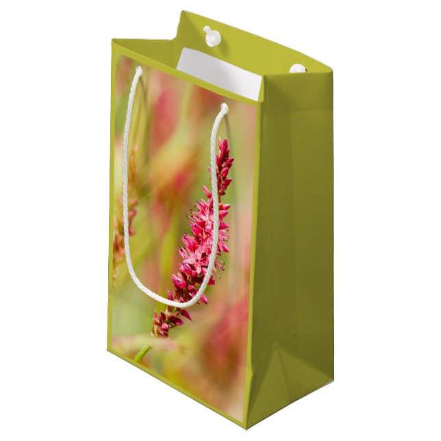 Petit Sac Cadeau coloris (Devant Angle)