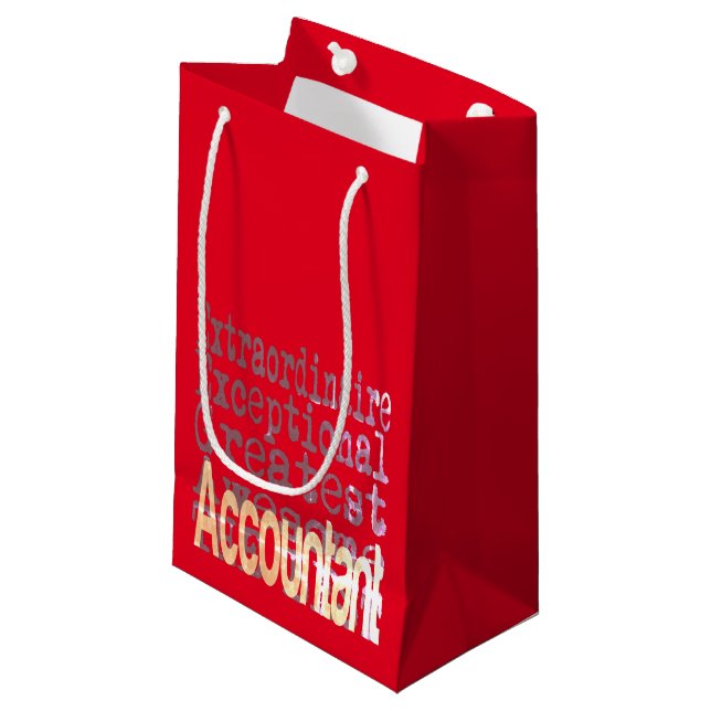 Petit Sac Cadeau Comptable Extraordinaire (Devant Angle)