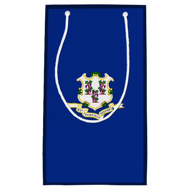 Petit Sac Cadeau Conception de l'indicateur d'état Connecticut (Devant)