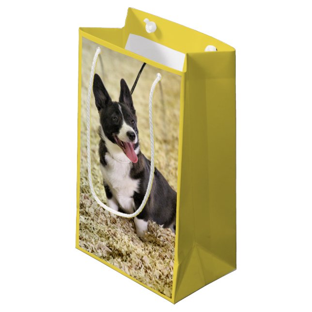 Petit Sac Cadeau Corgi (Devant Angle)