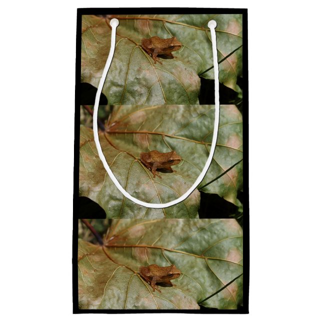 Petit Sac Cadeau Crapaud minuscule (Devant)
