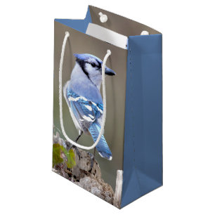 Petit Sac Cadeau Cute Bleu Jay Songbird sur Treestump