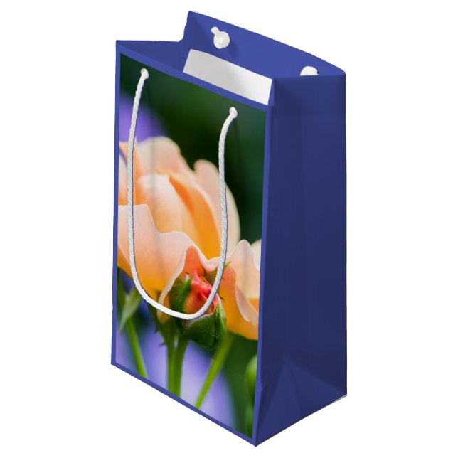 Petit Sac Cadeau désir (Devant Angle)