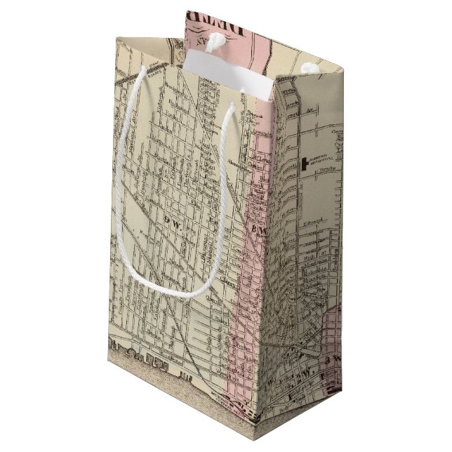 Petit Sac Cadeau Detroit (Dos Angle)