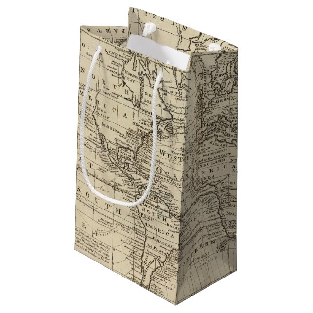 Petit Sac Cadeau Diagramme du monde (Dos Angle)