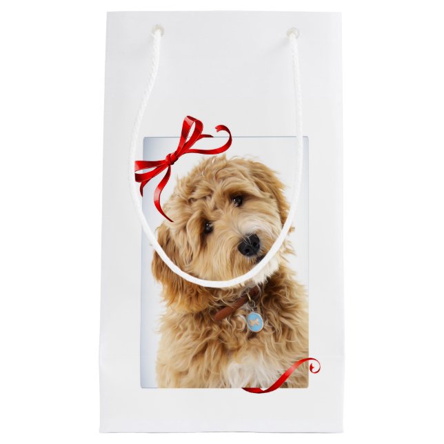Petit Sac Cadeau Doodle Dog (Devant)