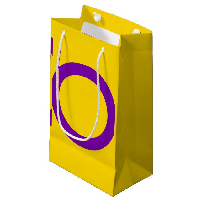 Petit Sac Cadeau Drapeau de fierté intersexe (Devant Angle)