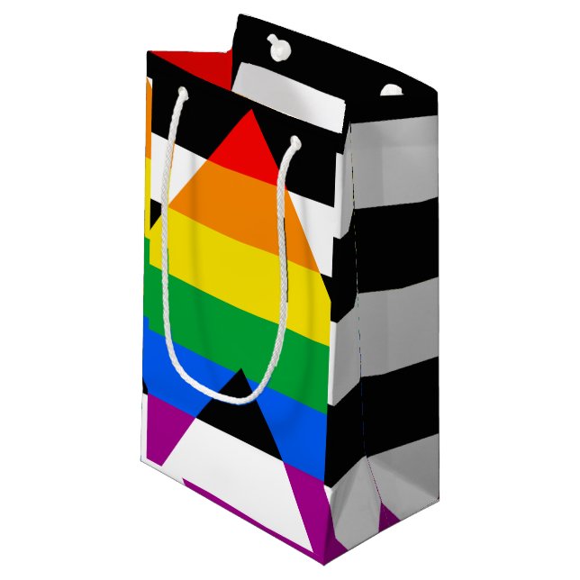 Petit Sac Cadeau Drapeau de l'allié LGBTQ+ (Devant Angle)