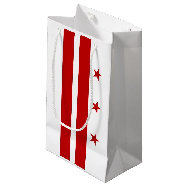 Petit Sac Cadeau Drapeau de Washington DC (Devant Angle)