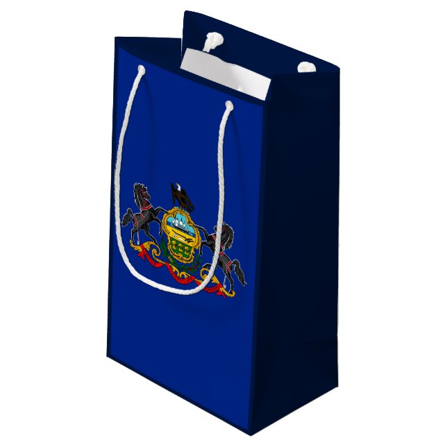 Petit Sac Cadeau Drapeau d'État de Pennsylvanie (Dos Angle)