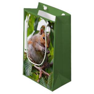 Petit Sac Cadeau Écureuil Gris de l'Est Cueilleur de Cerises Mignon