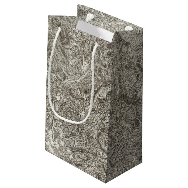Petit Sac Cadeau Embrun (Dos Angle)