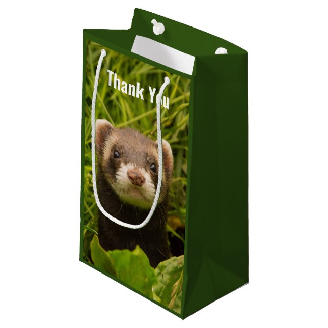Petit Sac Cadeau Ferret Brown dans le Merci d'herbe (Devant Angle)