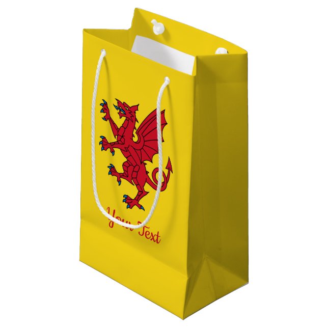 Petit Sac Cadeau Flag of Somerset Small Venin Bag (Devant Angle)