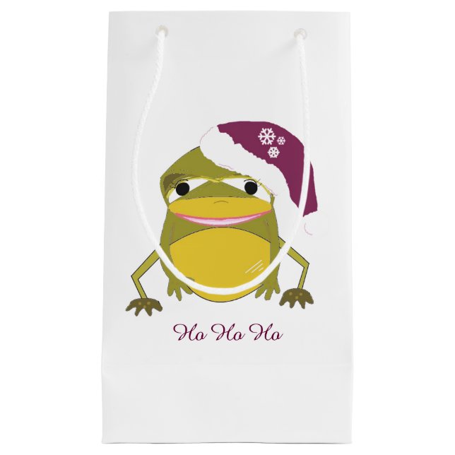 Petit Sac Cadeau Grenouille lunaire dans un chapeau de Père Noël (Devant)
