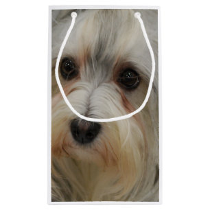 Petit Sac Cadeau Havanese