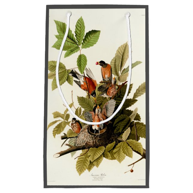 Petit Sac Cadeau Illustration Audubon American Robin Wildlife Bird (Devant)