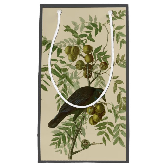 Petit Sac Cadeau Impression d'oiseau Grackle violet d'Audubon Botan (Devant)