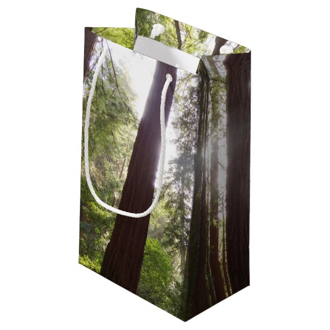 Petit Sac Cadeau Jusqu'aux séquoias le matin (Dos Angle)