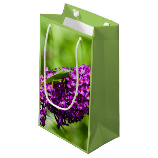 petit sac cadeau katydid énergie