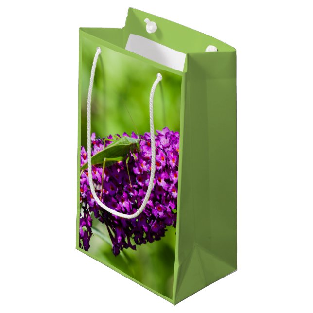 petit sac cadeau katydid énergie (Devant Angle)