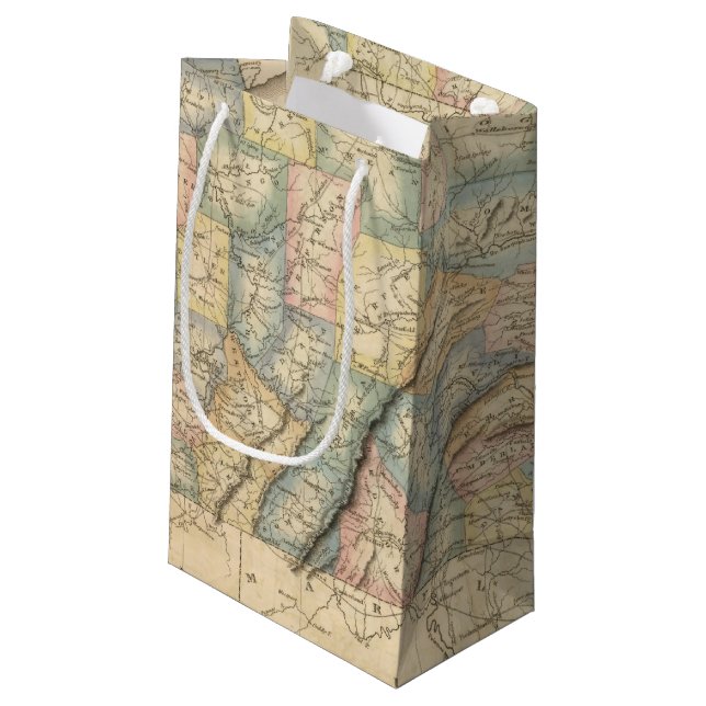 Petit Sac Cadeau La Pennsylvanie 8 (Dos Angle)