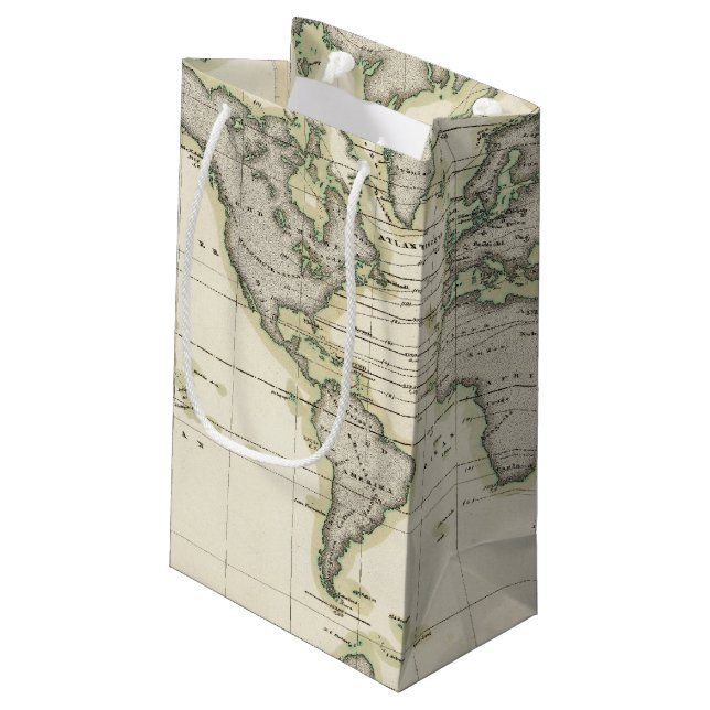 Petit Sac Cadeau Le baromètre moyen (Dos Angle)