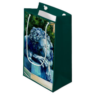 Petit Sac Cadeau Le Chat qui a mangé les Canaries