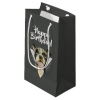 Le chiot observe le joyeux anniversaire