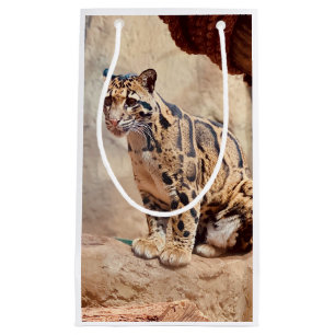 Petit Sac Cadeau léopard nébuleux image nature faune exotique