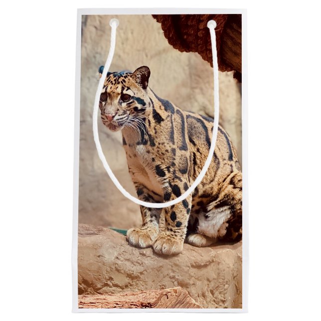 Petit Sac Cadeau léopard nébuleux image nature faune exotique (Devant)